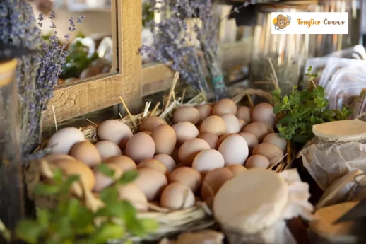 Verkoop van dagverse eieren Moerbeke-Waas, Oost-Vlaanderen